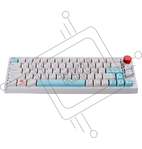 Клавиатура Epomaker TH66 Pro Keyboard Budgerigar White Sushi 