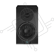 Акустическая система (студийный монитор) 110302A1001 Icon DT-6S активный, 2-х полосный, 1