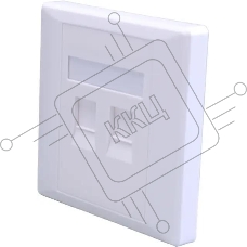 Панель Suprlan 10-0334-1, лицевая со шторкой 80x80, 2xKeystone ABS пластик, белый