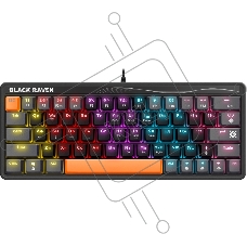 Клавиатура Defender Black Raven GK-417 (45414) проводная, USB, черный