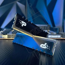 Оперативная память Patriot Signature Premium, DDR5, 32GB (2x16 GB), 5600 MHz, CL46, радиатор, черный