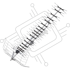 Наружная антенна Рэмо BAS X1174-USB Midi наружная антенна Наружная антенна Рэмо BAS X1174-USB Midi наружная антенна