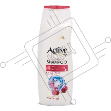 Шампунь Active укрепляющий, защита от выпадения волос CARE & BEAUTY. С корнем женьшеня, цветком гибискуса и витамином B6, 350 мл (512102056)