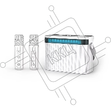 Переносная караоке система TRS2403 iconBIT K902W Колонка 10Вт, 2 микрофона Bluetooth, световые эффекты, аккумулятор в колонке 3000mah и микрофонах, 22.3*9.6*15.7CM, белый