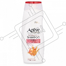 Шампунь Active для окрашенных волос CARE & BEAUTY. С кератином и пшеничным протеином, 350 мл (512102053)