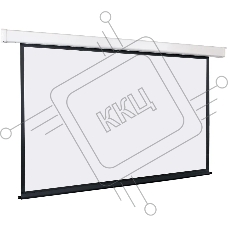 Экран с электроприводом Lumien Eco Control 189x300 см (раб. область 181х292 см) Matte White черная кайма по периметру 16:9