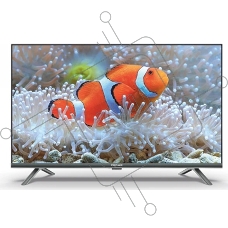 Телевизор PREMIER 55
