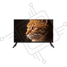 Телевизор Topdevice 24