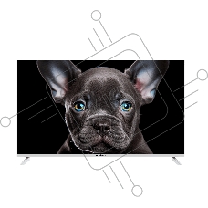 Телевизор TopDevice 50'' TDTV50CS08U_WE белый UHD Smart Салют ТВ 1.5GB 8GB