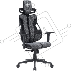 Кресло компьютерное Cactus CS-CHR-DUO-GYBK серый/черный Кресло компьютерное Cactus CS-CHR-DUO-GYBK серый/черный