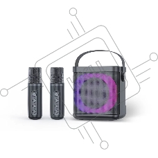 Переносная караоке система TRS2406 iconBIT K702B Колонка 10Вт, 2 микрофона Bluetooth, подсвктка, с аккумулятор в колонке 1500mah и микрофонах, 16*12*16.7 CM, черный