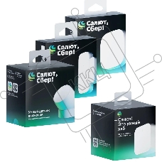 Комплект Sber SBDV-00068R