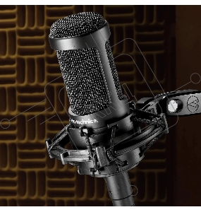 Микрофон проводной Audio-Technica AT2035 черный/черный