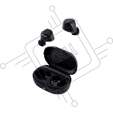 Наушники PANASONIC RZ-B120WDG-K черный