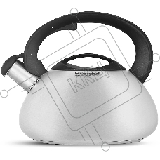 Чайник металлический Rondell Sieden RDS-088 3л, стальной