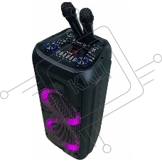 Колонка Eltronic DANCE BOX 08