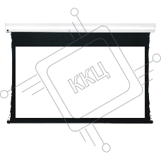 Экран для проектора S'OK Apollo SGPSMT-295x184A бокового натяжения, звукопрозрачный, белый к
