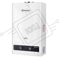Колонка газовая Thermex B 20 D Pro белый