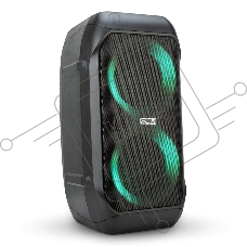 Колонка Eltronic 06