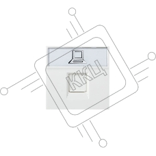 Розетка RJ-45 EKF PROxima, категории 5e (ширина 2 модуля)