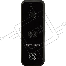 Видеопанель Tantos iPanel 2+, цветная, накладная, черный