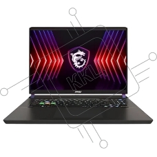 Ноутбук MSI Vector 17 HX A14VIG-899RU Intel Core i9 14900HX 2200MHz/17
