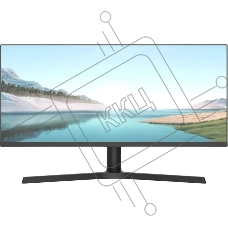 Монитор NPC MB300L-Y черный 29