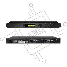 Подавитель обратной связи DSPPA D6573