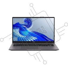 Ноутбук MAIBENBEN P725 Intel Core i5 12450H 2000MHz/17.3