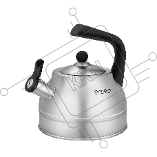 Чайник металлический Rondell Frank RDS-1861 2.8 л, стальной