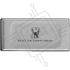 Внешний SSD Kingston XS2000, 4TB, USB 3.2 Gen 2x2 Type-C, R/W 2000/2000, серебристый