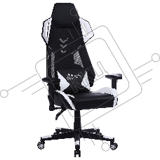 Кресло игровое Cactus CS-CHR-090BLW черный/белый, сиденье черный/белый, эко.кожа, крестовина пластик, пластик черный/белый Кресло игровое Cactus CS-CHR-090BLW черный/белый, сиденье черный/белый, эко.кожа, крестовина пластик, пластик черный/белый