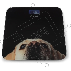 Весы напольные электронные Hyundai H-BS03674 макс.180кг черный