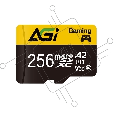 Карта памяти AGI AGI256GGSTF138, microSD, 256GB