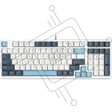 Клавиатура A4Tech Fstyler FS300 (FS300 PANDA SNOWBOARDING) проводная, USB, белый/синий