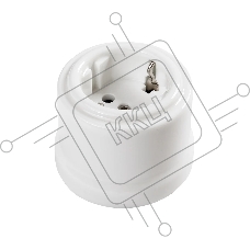 Розетка Bironi B1-101-01 с/з Лизетта Белый