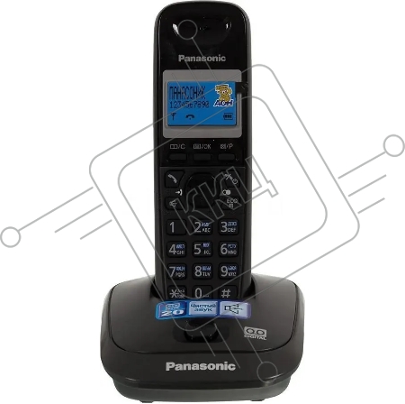 Телефон Panasonic KX-TG2521RUT (титан) {АОН, Caller ID,спикерфон,голосовой АОН,полифония,цифровой автоответчик}