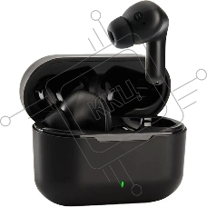 Наушники Panasonic RZ-B310WDG-K, Bluetooth, внутриканальные, черный