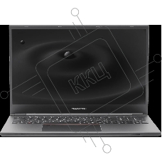 Ноутбук Гравитон Н17И-Т (225079) 17.3