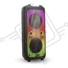 Колонка ELTRONIC 10