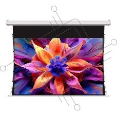 Экран для проектора S'OK SCPSMT-332x186FG-ED30 150 