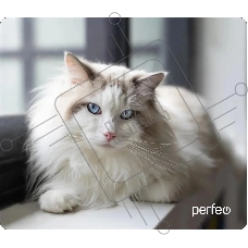 Коврик для мыши PERFEO PF_D0638 