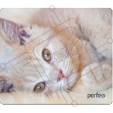 Коврик для мыши PERFEO PF_D0641 