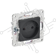 Розетка IEK SKANDY SK-R02G 10А графит без заземл. без защ. шторок SK-R10-10-K53