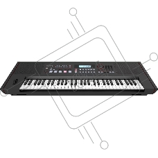Синтезатор ROLAND [E-X50] с автоаккомпанементом, 61 клавишей (чувствительной к нажатию), 256-голосной полифонией. 689 тембров, 300 стилей аранжировки, Bluetooth 5.0, микрофонный вход, USB. Вес: 9,6 кг.