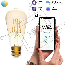 Лампа светодиодная филаментная Gauss Smart Home DIM+CCT E27 ST64 Golden 6,5 Вт 2000-5500 К 1/10/40