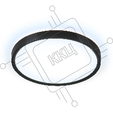 Потолочный светодиодный светильник Ambrella light FZ3050 BK черный IP44 24W+10W 6400+6400К D300*40 (Без ПДУ)