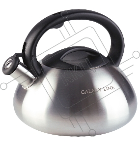 Чайник со свистком GALAXY LINE GL 9212, серый, 3 л, изготовлен из высококачественной нержавеющей стали, эргономичная ручка с кнопочным механизмом для поднятия свистка, сатинированная поверхность, для всех типов плит