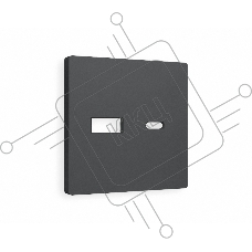 Лицевая панель ALFA (Графит Мягкое касание) для розетки 2USB тип A+C QUANT AP9110