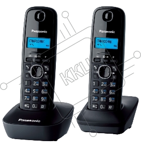 Телефон Panasonic KX-TG1612RUH (серый)  {Доп трубка в комплекте,АОН, Caller ID,12 мелодий звонка,поиск трубки}